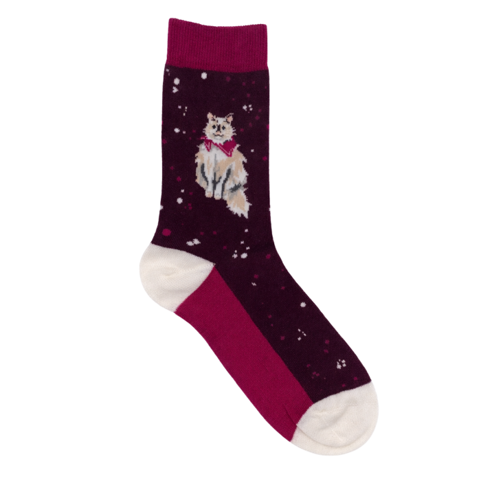 Kitty