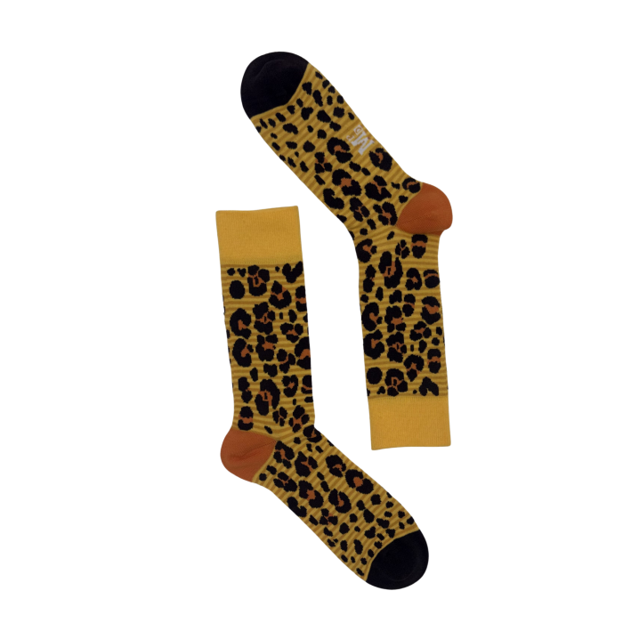 Safari